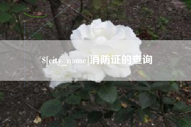龙口消防证的查询