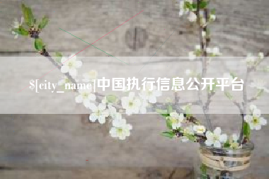 龙口中国执行信息公开平台