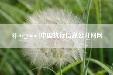 龙口中国执行信息公开网网