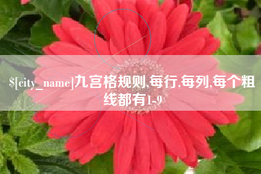 龙口九宫格规则,每行,每列,每个粗线都有1-9