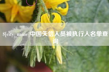 龙口中国失信人员被执行人名单查询
