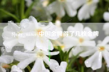 龙口中国金牌得了几枚金牌