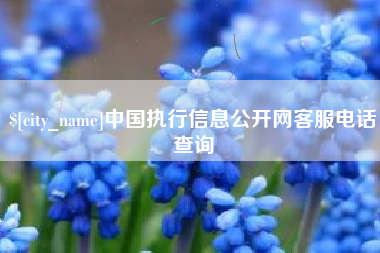 龙口中国执行信息公开网客服电话查询