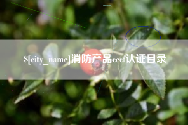 龙口消防产品cccf认证目录