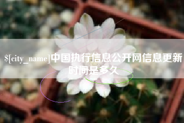 龙口中国执行信息公开网信息更新时间是多久