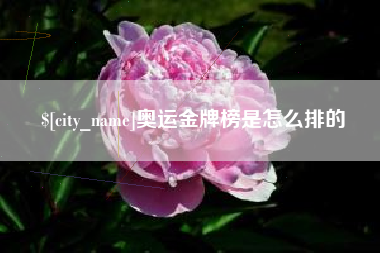 龙口奥运金牌榜是怎么排的