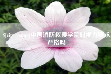 龙口中国消防救援学院对视力要求严格吗