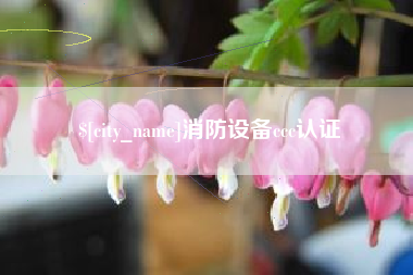 龙口消防设备ccc认证