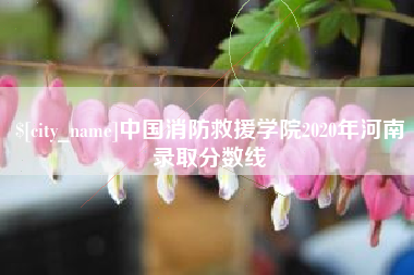 龙口中国消防救援学院2020年河南录取分数线