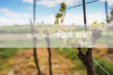龙口中国队 冠军