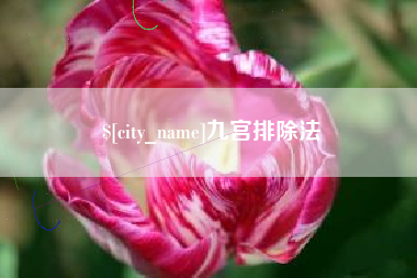 龙口九宫排除法