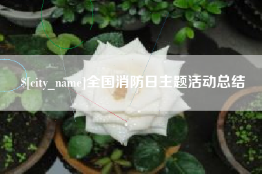 龙口全国消防日主题活动总结