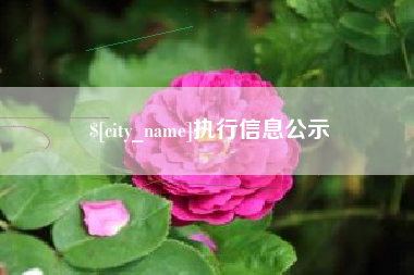 龙口执行信息公示