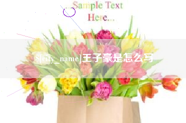 龙口王子豪是怎么写