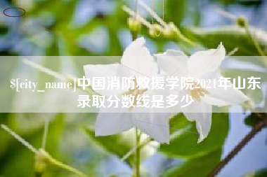龙口中国消防救援学院2021年山东录取分数线是多少