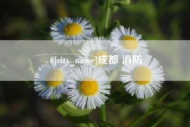 龙口成都 消防