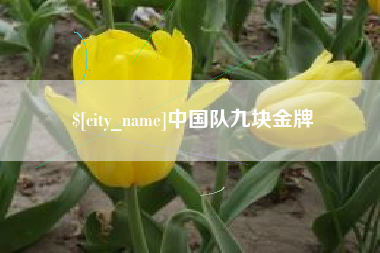 龙口中国队九块金牌