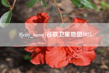 龙口谷歌卫星地图2025