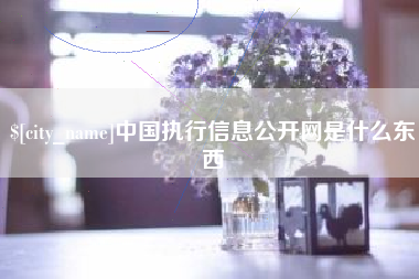 龙口中国执行信息公开网是什么东西