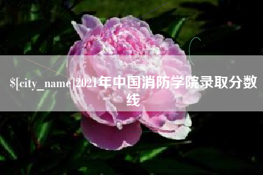 龙口2021年中国消防学院录取分数线