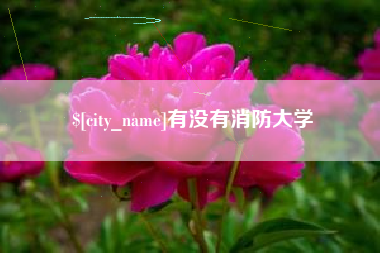 龙口有没有消防大学