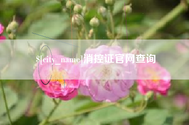 龙口消控证官网查询