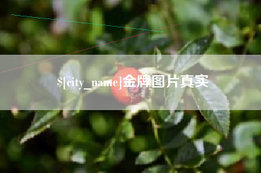 龙口金牌图片真实