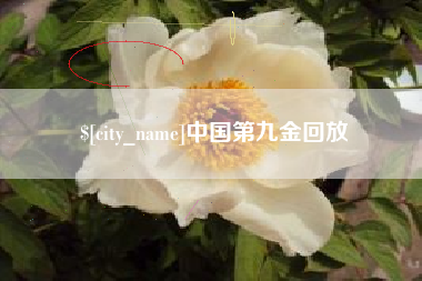 龙口中国第九金回放