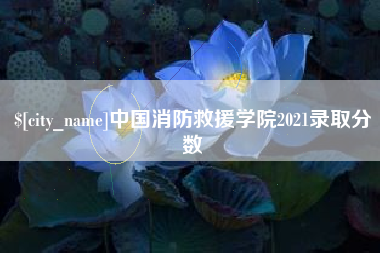 龙口中国消防救援学院2021录取分数