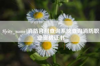 龙口消防官网查询系统查询消防职业资格证书