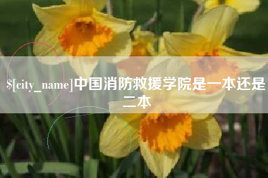龙口中国消防救援学院是一本还是二本