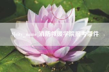 龙口消防救援学院报考条件