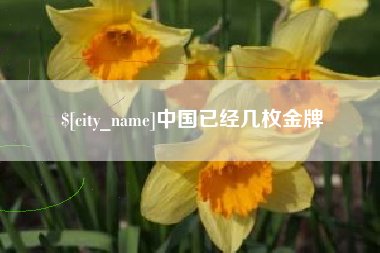 龙口中国已经几枚金牌