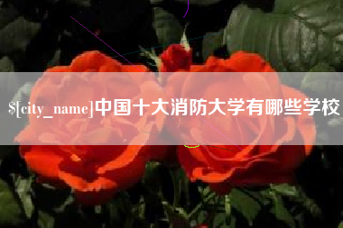 龙口中国十大消防大学有哪些学校