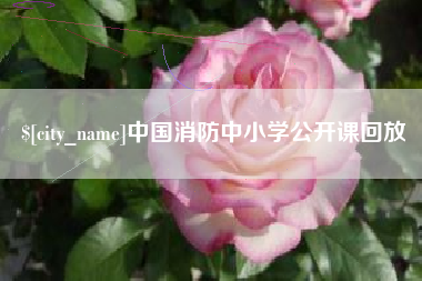 龙口中国消防中小学公开课回放