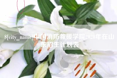 龙口中国消防救援学院2020年在山东招生计划表