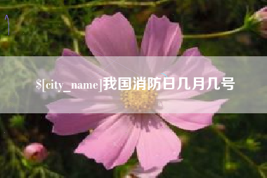 龙口我国消防日几月几号
