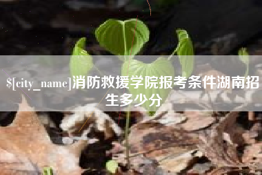 龙口消防救援学院报考条件湖南招生多少分