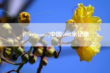 龙口中国5000米记录