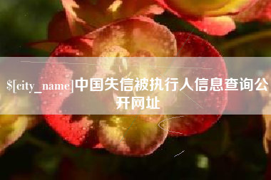 龙口中国失信被执行人信息查询公开网址