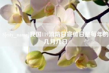 龙口我国119消防日宣传日是每年的几月几日