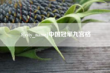 龙口中国冠军九宫格