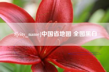 龙口中国省地图 全图黑白