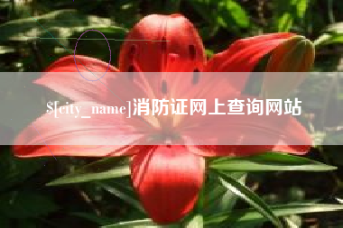 龙口消防证网上查询网站