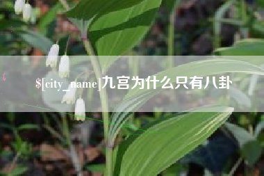 龙口九宫为什么只有八卦