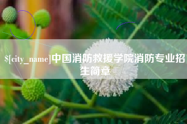 龙口中国消防救援学院消防专业招生简章