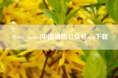 龙口中国消防公众号app下载