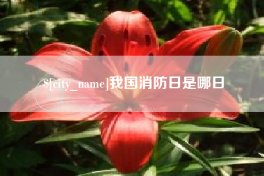 龙口我国消防日是哪日