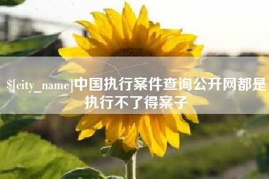 龙口中国执行案件查询公开网都是执行不了得案子