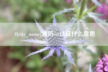 龙口消防ccc认证什么意思